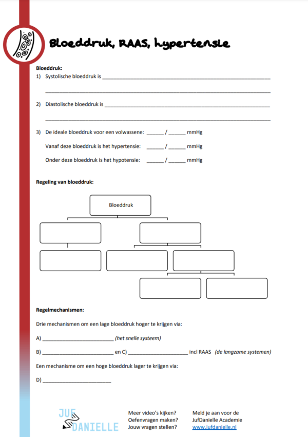 Actieve Samenvatting Bloeddruk Raas Hypertensie Juf Danielle