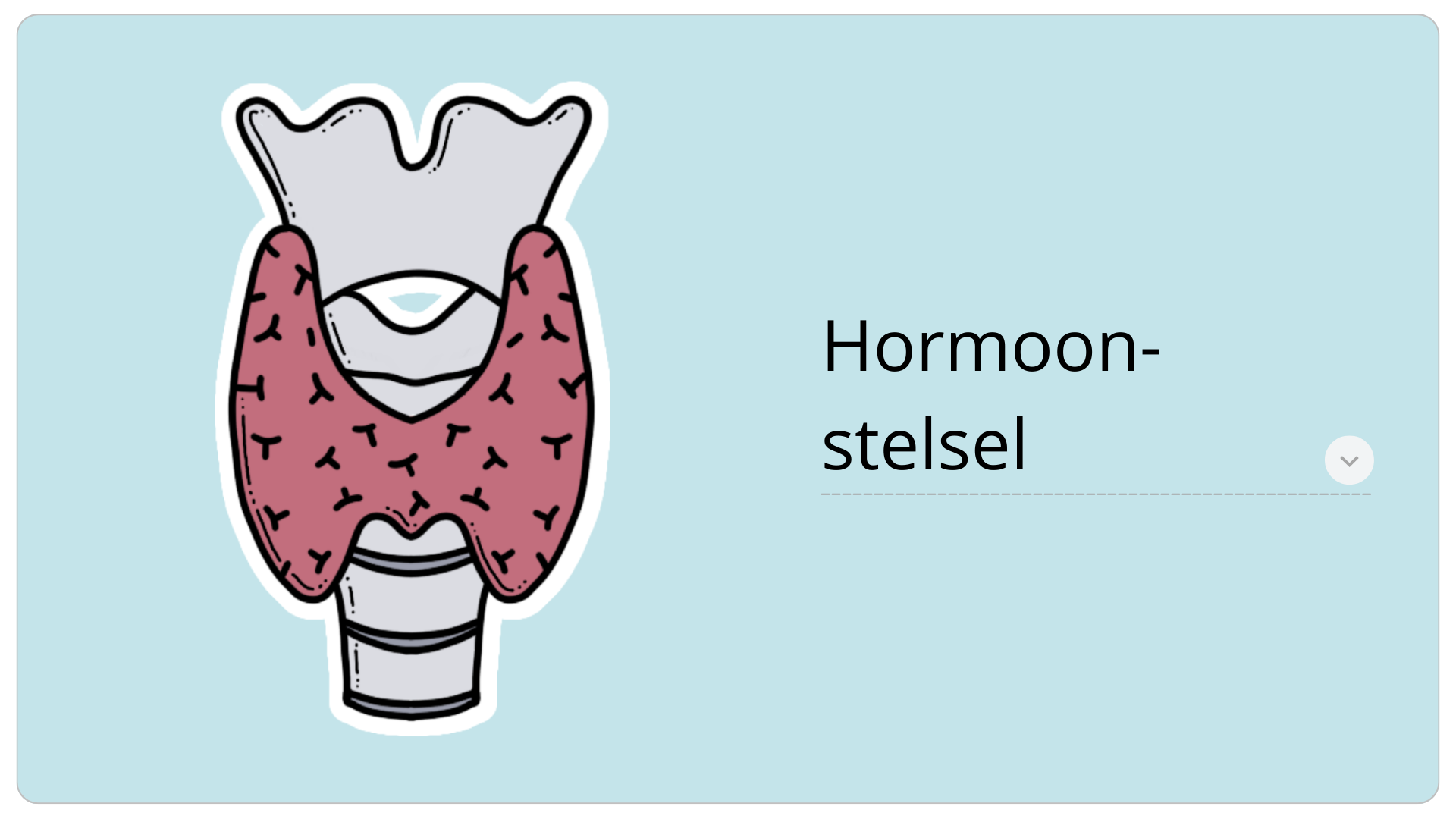 Hormoonstelsel: de basis – Juf Danielle